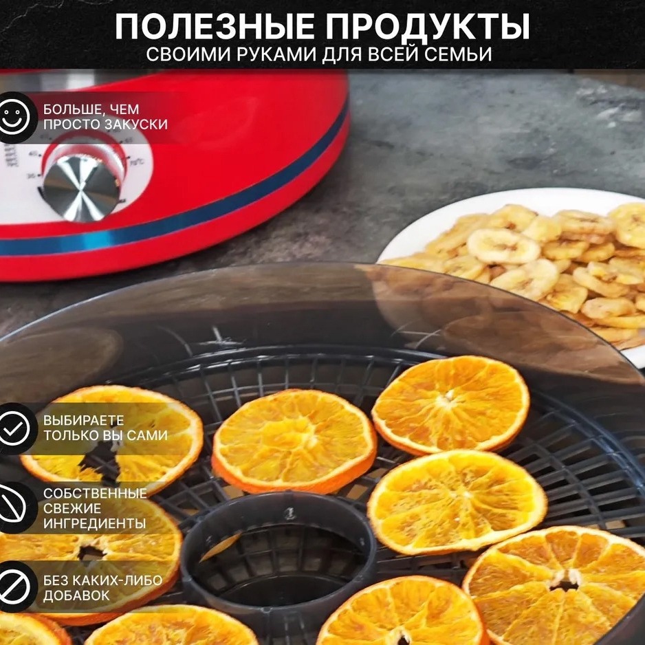 Бытовая маленькая машина для с – обзор и цена Food Dehydrator Snacks